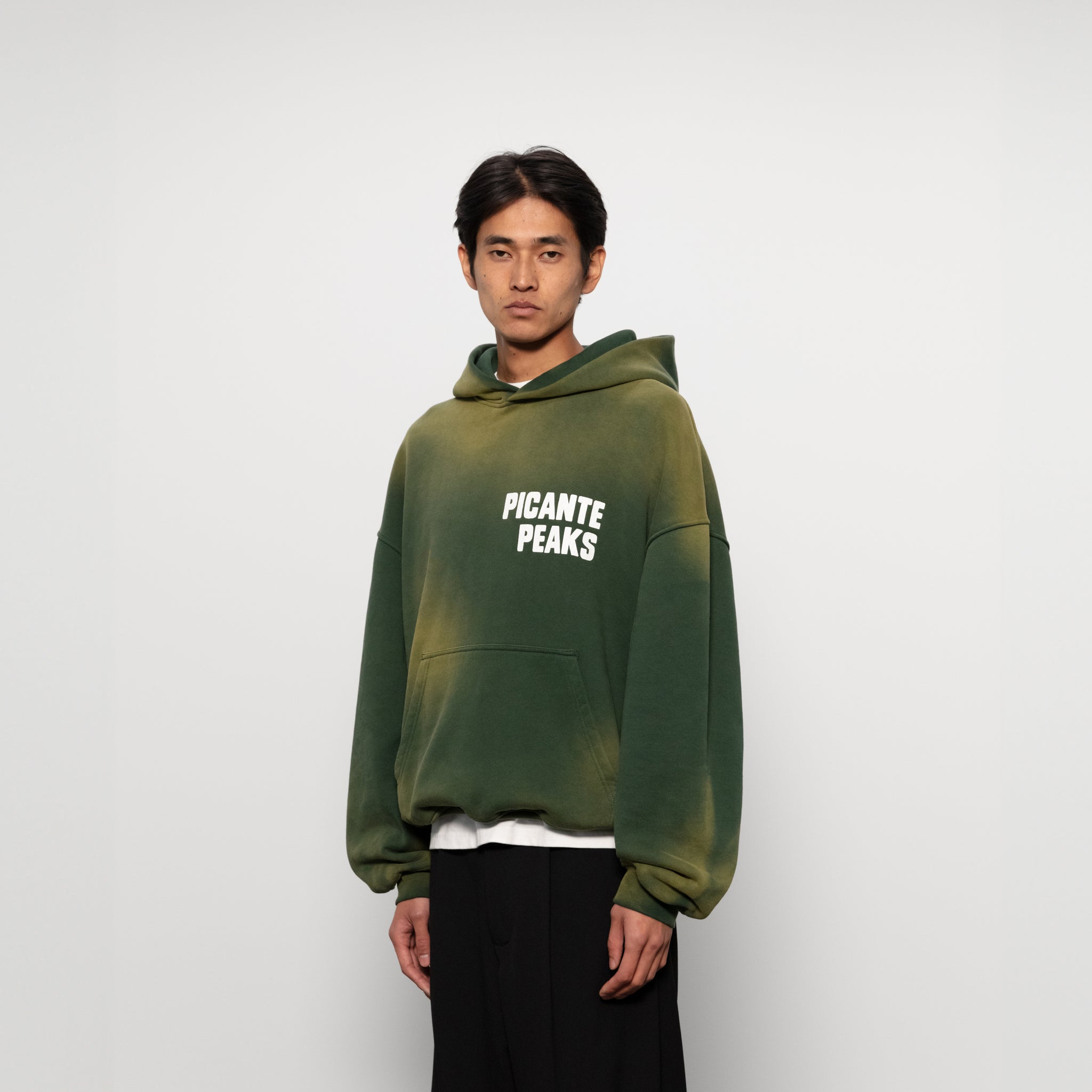 Faded 2025 green hoodie